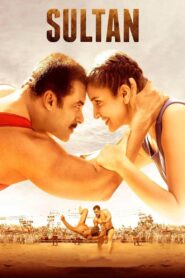 Sultan (2016) Hindi BluRay x264 AAC 1080p 720p 480p ESub