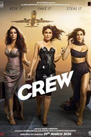 Crew (2024) Hindi NF WEB-DL H264 AAC 2160p 1080p 720p 480p Download