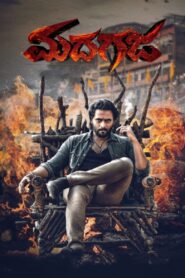 Madhagaja (2021) Hindi Dubbed ORG JC WEB-DL H 264 AAC 1080p 720p 480p ESub