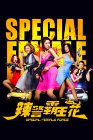 Special Female Force (2016) Dual Audio Hindi ORG WEB-DL H264 AAC 1080p 720p 480p ESub