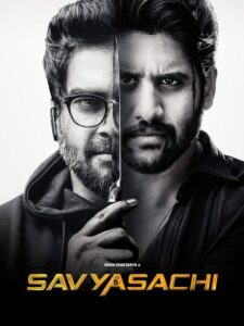 Savyasachi (2018) UNCUT Dual Audio Hindi ORG WEB-DL H264 AAC 1080p 720p 480p ESub