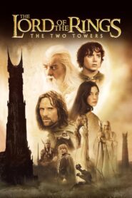 The Lord of the Rings: The Two Towers (2002) Dual Audio Hindi ORG BluRay H264 AAC 1080p 720p 480p ESub