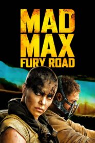 Mad Max Fury Road (2015) Dual Audio [Hindi-English] BluRay H264 AAC 1080p 720p 480p ESub