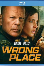 Wrong Place (2022) Dual Audio [Hindi-English] BluRay H264 AAC 1080p 720p 480p ESub