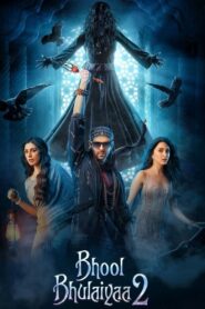 Bhool Bhulaiyaa 2 (2022) Hindi WEB-DL H264 AAC 1080p 720p 480p ESub