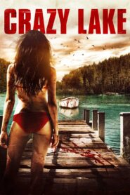 Crazy Lake (2016) Dual Audio [Hindi-English] WEB-DL H264 AAC 1080p 720p 480p ESub