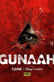 Gunaah (2024) S01E11-20 Hindi DSNP WEB-DL H264 AAC 1080p 720p ESub