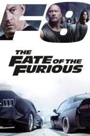 Fast and Furious 8 (2017) Dual Audio [Hindi-English] BluRay H264 AAC 1080p 720p 480p ESub