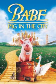 Babe: Pig in the City (1998) Dual Audio [Hindi-English] BluRay H264 AAC 1080p 720p 480p ESub