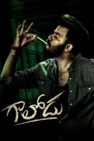 Gaalodu (2022) Uncut Dual Audio [Hindi-Telugu] WEB-DL H264 AAC 1080p 720p 480p ESub 1080p