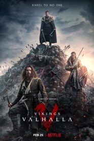 Vikings Valhalla (2022) S01 Dual Audio [Hindi-English] Netfilx [HEVC] WEB-DL H264 AAC 1080p 720p 480p ESub