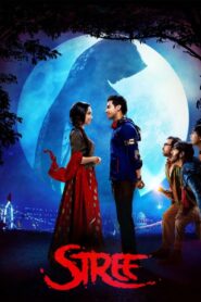 Stree (2018) Hindi Movie NF WEB-DL DD 5.1 x264 1080p 720p 480p ESub