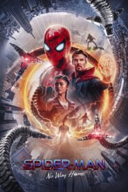 Spider-Man: No Way Home (2021) Dual Audio [Hindi-English] BluRay Extended H264 AAC 1080p 720p 480p ESub