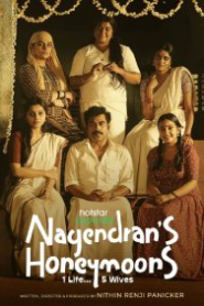 Nagendrans Honeymoons (2024) S01 Complete Multi Audio [Bengali-Hindi-Malayalam] HS WEB-DL H264 AAC 1080p 720p 480p ESub