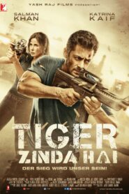 Tiger Zinda Hai (2017) Dual Audio [Hindi-Bengali] BluRay & SDTVRip H264 AAC 1080p 720p 480p ESub