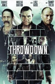 Throwdown (2014) Dual Audio [Hindi-English] BluRay H264 AAC 1080p 720p 480p ESub