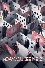 Now You See Me 2 (2016) Dual Audio [Hindi-English] BluRay H264 AAC 1080p 720p 480p ESub