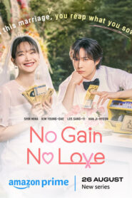 No Gain No Love (2024) S01E08 Dual Audio [Hindi-Korean] AMZN WEB-DL H264 AAC 1080p 720p 480p ESub