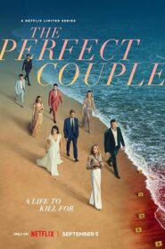 The Perfect Couple (2024) S01 Dual Audio[Hindi-English] NetFlix WEB-DL H264 AAC 1080p 720p 480p ESub