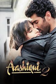 Aashiqui 2 (2013) Hindi BluRay H264 AAC 1080p 720p 480p ESub