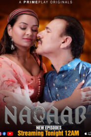 Naqaab (2023) S01 Hindi PrimePlay WEB-DL H264 AAC 1080p 720p 480p ESub