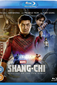 Shang Chi and the Legend of the Ten Rings (2021) Dual Audio [Hindi-English] ORG BluRay x264 & x265 (HEVC) 2160p 1080p 720p 480p ESub