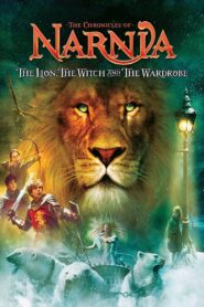 The Chronicles of Narnia The Lion, the Witch and the Wardrobe (2005) English BluRay H264 AAC 1080p 720p 480p ESub