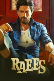 Raees (2017) Hindi BluRay H264 AAC 1080p 720p 480p ESub