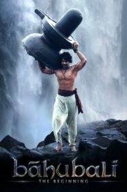 Baahubali: The Beginning (2015) Hindi BluRay H264 AAC 1080p 720p 480p ESub