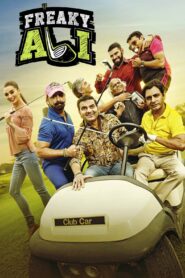 Freaky Ali (2016) Hindi Amazon WEB-DL H264 AAC 1080p 720p 480p ESub