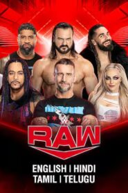 WWE Monday Night Raw 2024 11 19 HDTV h264 AAC 1080p 720p 480p Download