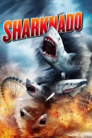 Sharknado (2013) EXTENDED Dual Audio [Hindi-English] BluRay H264 AAC 1080p 720p 480p Download