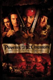 Pirates of the Caribbean 1 (2003) Dual Audio [Hindi-English] BluRay H264 AAC 1080p 720p 480p ESub