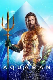 Aquaman (2018) Dual Audio [Hindi-English] BluRay H264 AAC 1080p 720p 480p ESub