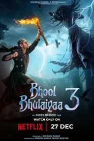 Bhool Bhulaiyaa 3 (2024) Hindi NetFlix WEB-DL H264 AAC 1080p 720p 480p ESub