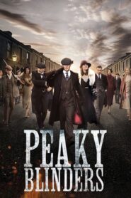 Peaky Blinders (2014) S01 English BluRay x264 AAC 1080p 720p 480p ESub