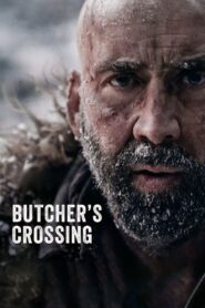 Butchers Crossing (2022) Dual Audio [Hindi-English] BluRay H264 AAC 1080p 720p 480p ESub