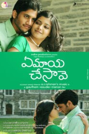 Ye Maaya Chesave (2010 Telugu BluRay H264 AAC 1080p 720p 480p ESub