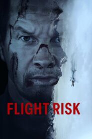 Flight Risk (2025) English WEB-DL H264 AAC 1080p 720p 480p ESub