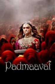 Padmaavat (2018) Hindi BluRay H264 AAC 1080p 720p 480p ESub