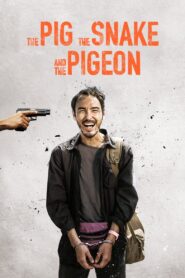 The Pig The Snake And The Pigeon (2023) Chinese BluRay H264 AAC 1080p 720p ESub