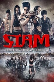 Siam Yuth The Dawn of the Kingdom (2015) Dual Audio [Hindi-German] BluRay H264 AAC 720p 480p ESub