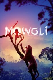 Mowgli: Legend of the Jungle (2018) Dual Audio [Hindi-English] NF WEB-DL H264 AAC 1080p 720p 480p ESub