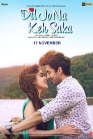 Dil Jo Na Keh Saka (2017) Hindi WEB-DL H264 AAC 1080p 720p 480p ESub