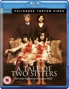 A Tale of Two Sisters (2003) Dual Audio [Hindi-Korean] BluRay H264 AAC 1080p 720p 480p ESub