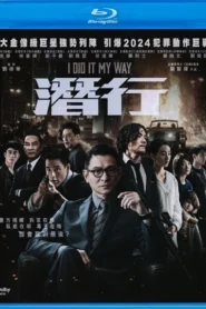 I Did It My Way (2023) Dual Audio [Hindi ORG-Chinese] BluRay H264 AAC 1080p 720p 480p ESub