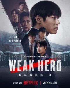 Weak Hero (2025) S02 Dual Audio [Hindi-Korean] NetFlix WEB-DL H264 AAC 1080p 720p 480p ESub