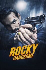 Rocky Handsome (2016) Hindi NF WEB-DL H264 AAC 1080p 720p 480p ESub