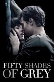 Fifty Shades of Grey (2015) Dual Audio [Hindi-English] BluRay H264 AAC 1080p 720p 480p ESub