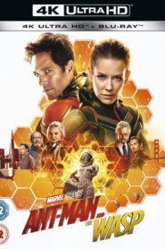Ant-Man and the Wasp (2018) Dual Audio [Hindi-English] BluRay H264 AAC 1080p 720p 480p ESub